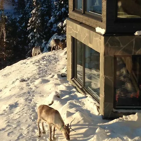 Rukavuorenhuippu 루카