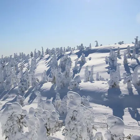 Rukavuorenhuippu Villa *