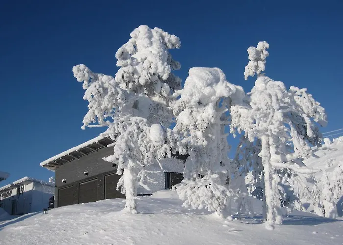 וילה Rukavuorenhuippu