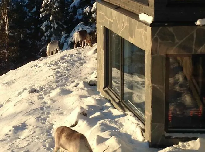 Rukavuorenhuippu רוקה